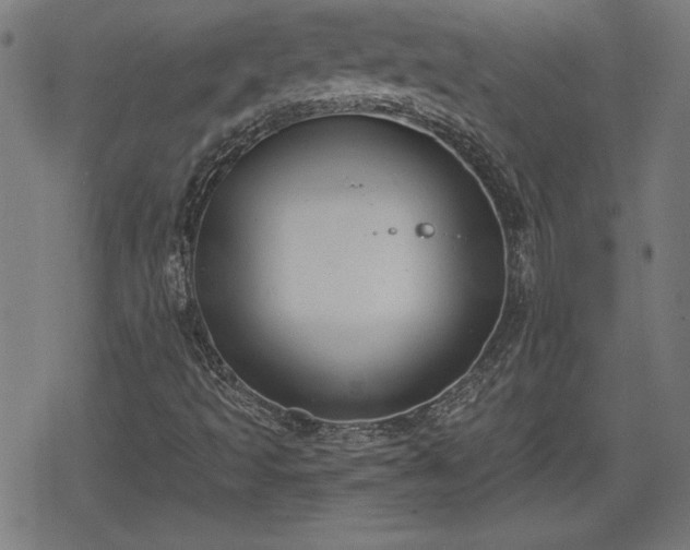 X0000078291493200611101055