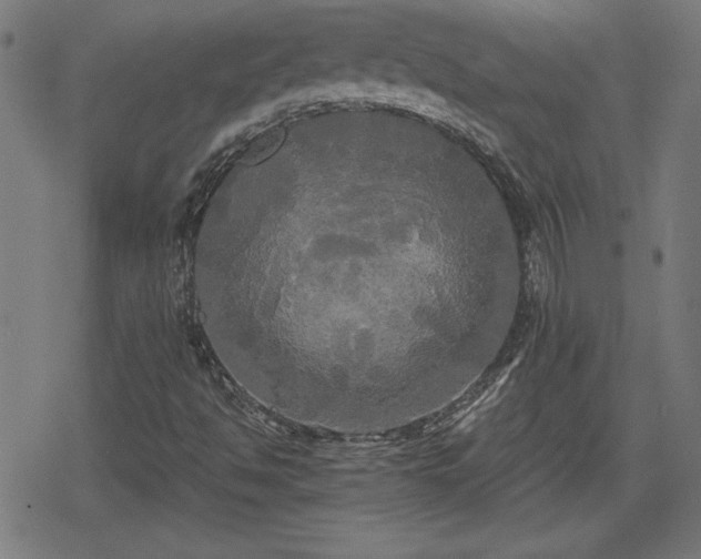 X0000078291494200611101055