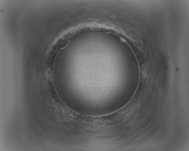 X0000078291495200611101055