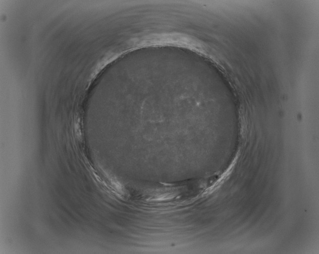 X0000078291497200611101055