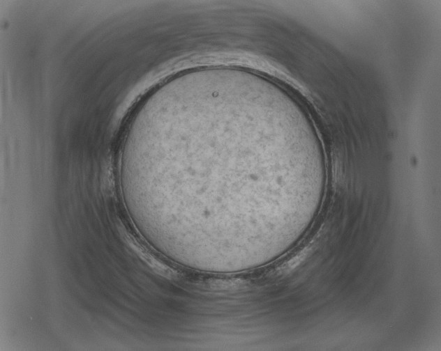 X0000078291498200611101055