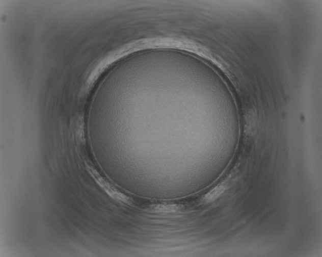 X0000078291499200611101055