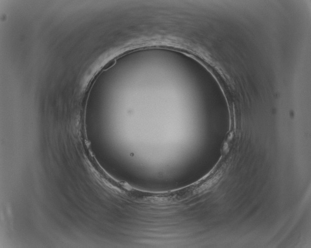 X0000078291500200611101055