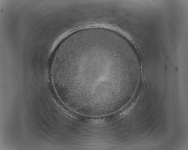 X0000078291501200611101055