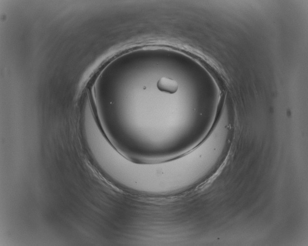 X0000078291502200611101055