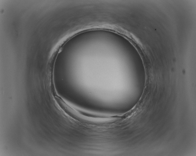 X0000078291504200611101055