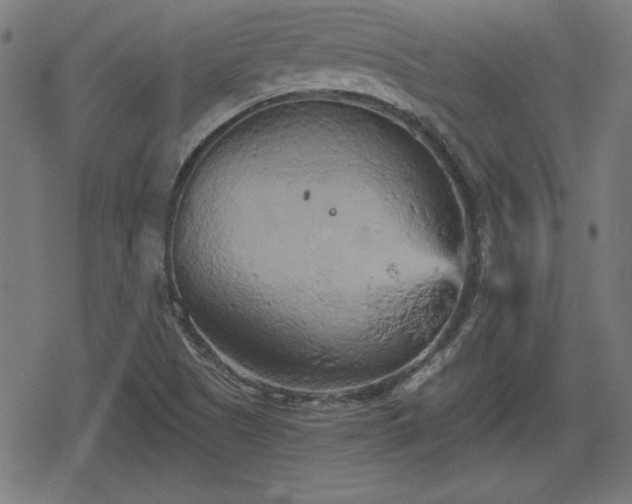 X0000078291505200611101055