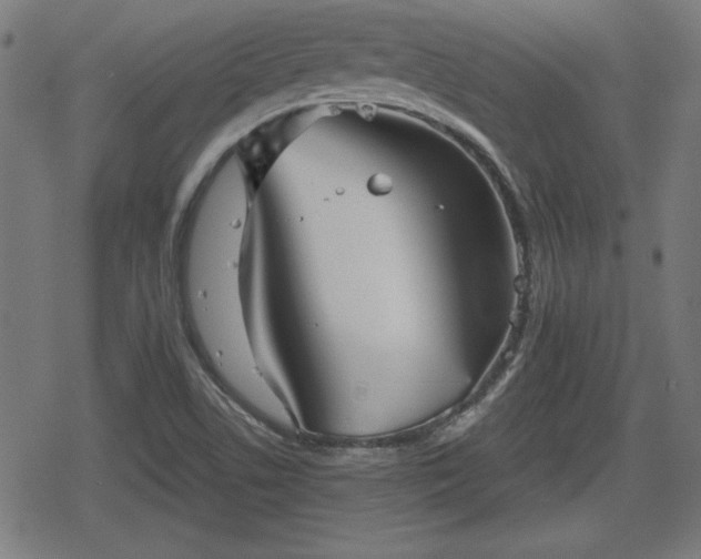 X0000078291506200611101055