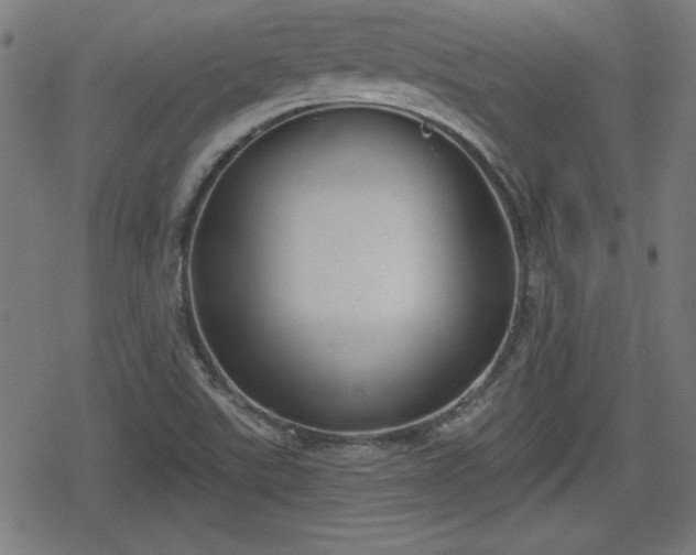 X0000078291507200611101055