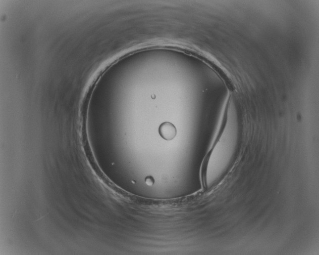 X0000078291508200611101055