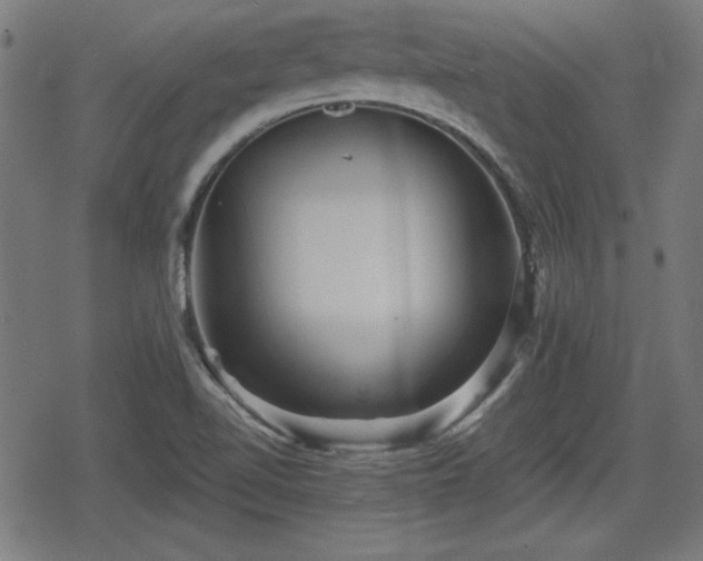 X0000078291510200611101055