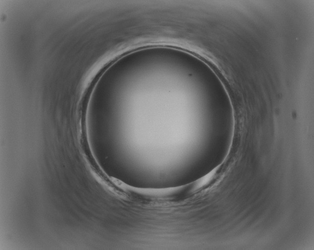 X0000078291511200611101055