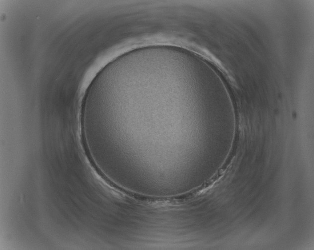 X0000078291512200611101055