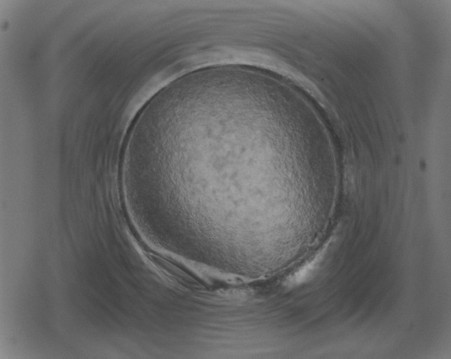 X0000078291513200611101055