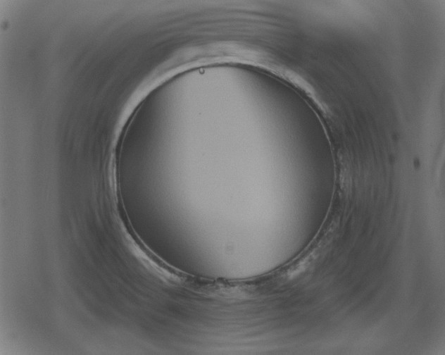 X0000078291516200611101055