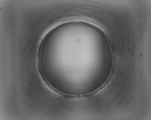 X0000078291518200611101055