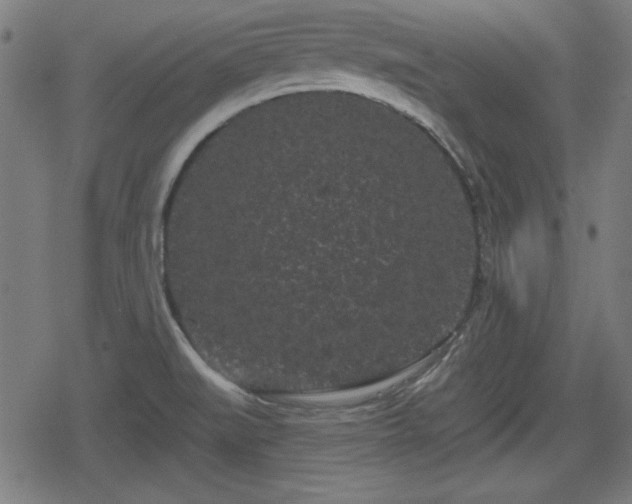 X0000078291519200611101055