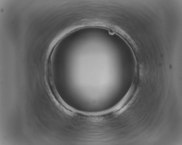 X0000078291520200611101055