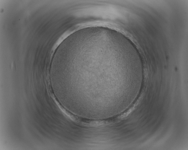 X0000078291521200611101055