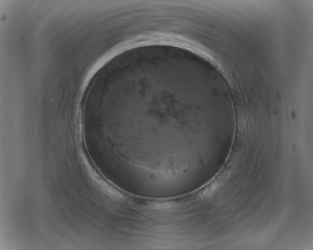 X0000078291522200611101055