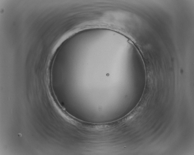 X0000078291523200611101055