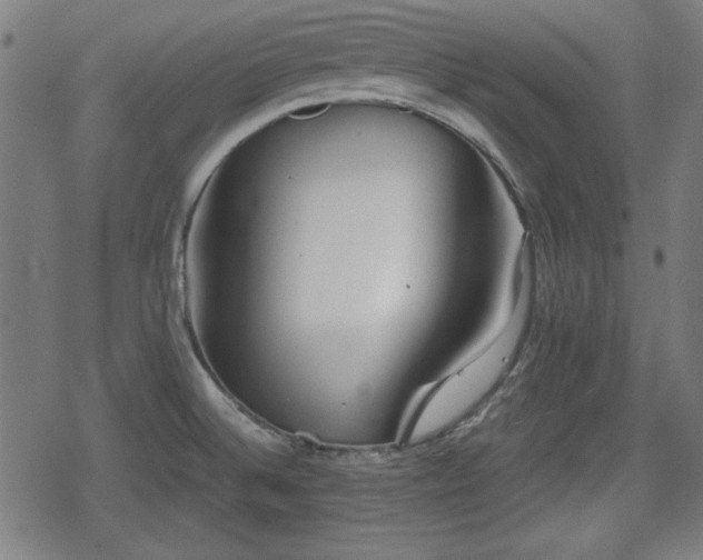 X0000078291524200611101055