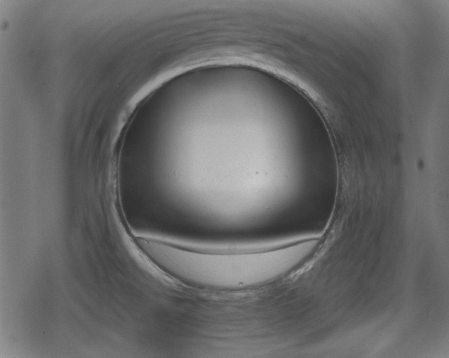 X0000078291526200611101055