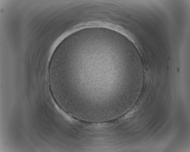 X0000078291527200611101055