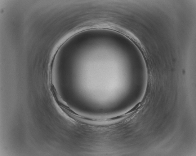 X0000078291528200611101055