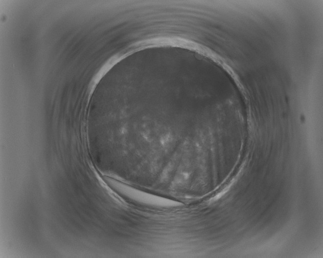 X0000078291529200611101055