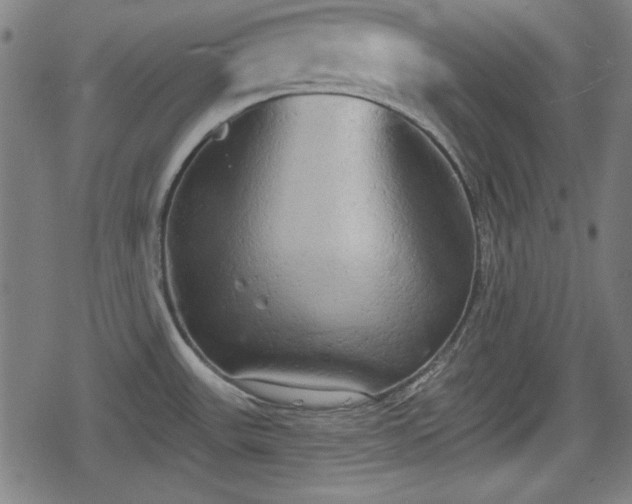 X0000078291531200611101055