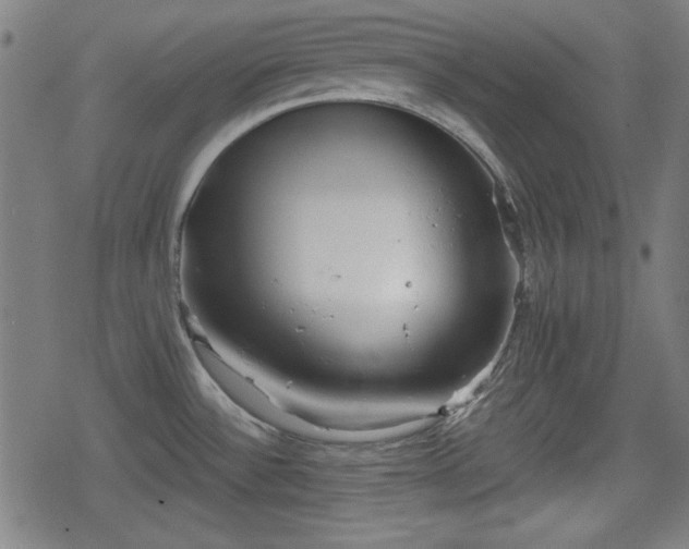 X0000078291532200611101055