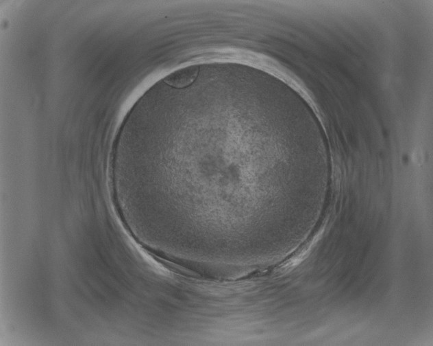 X0000078291533200611101055