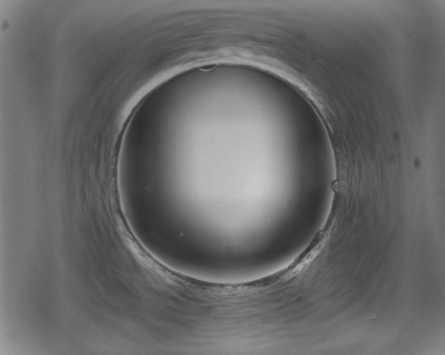 X0000078291534200611101055