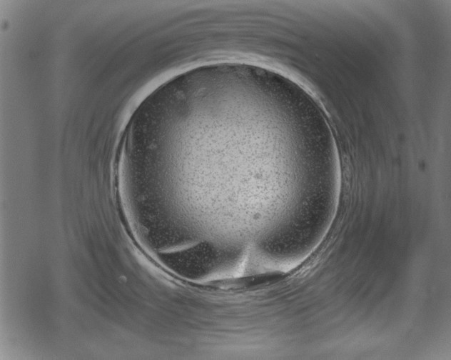 X0000078291535200611101055