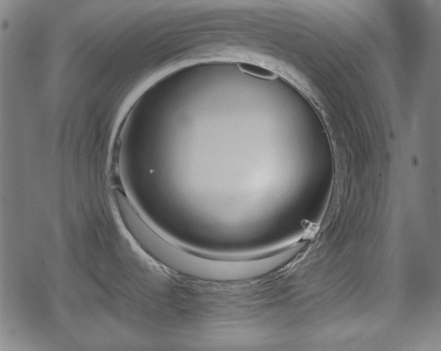 X0000078291536200611101055