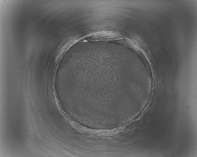 X0000078290001200611172134