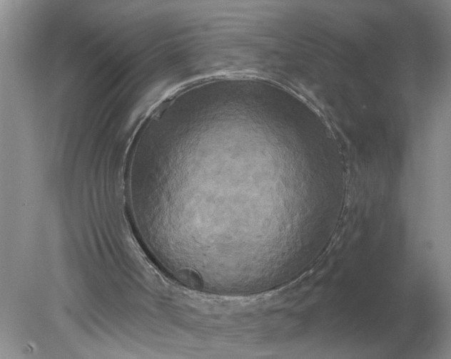 X0000078290002200611172134