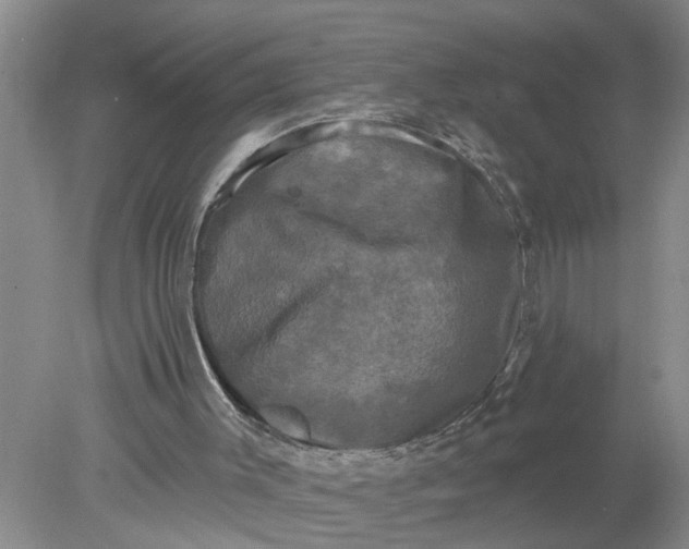 X0000078290003200611172134