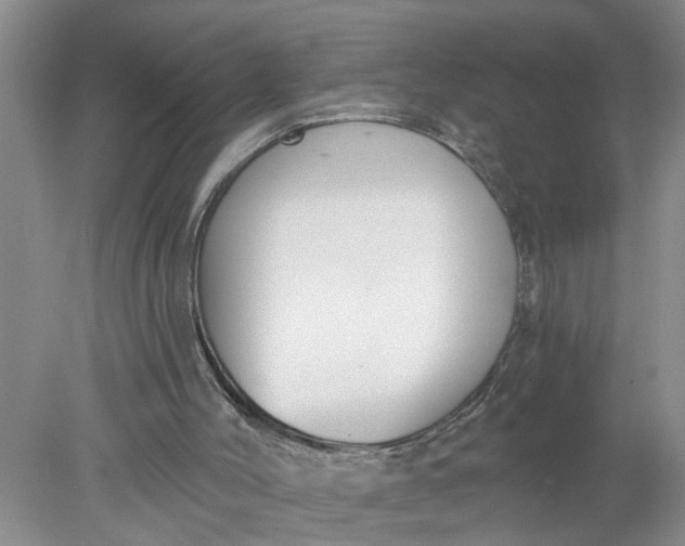 X0000078290004200611172134