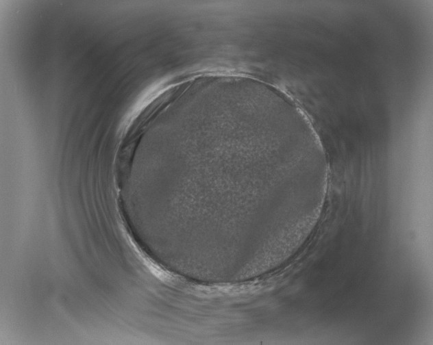 X0000078290005200611172134