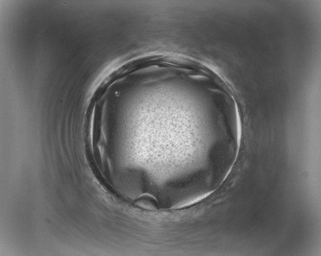 X0000078290007200611172134