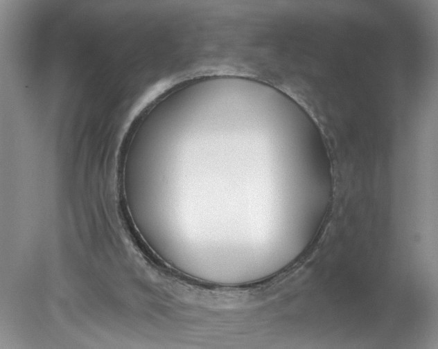 X0000078290008200611172134