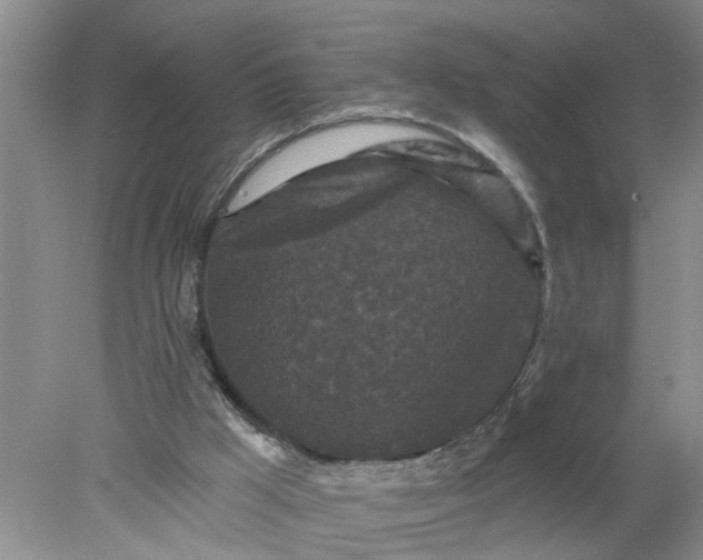 X0000078290009200611172134