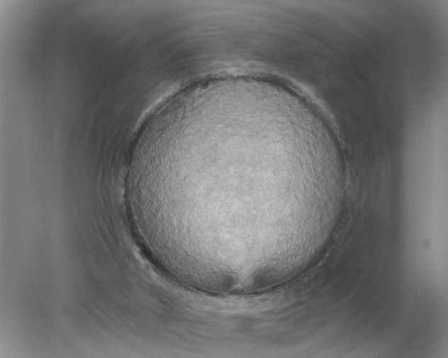 X0000078290010200611172134