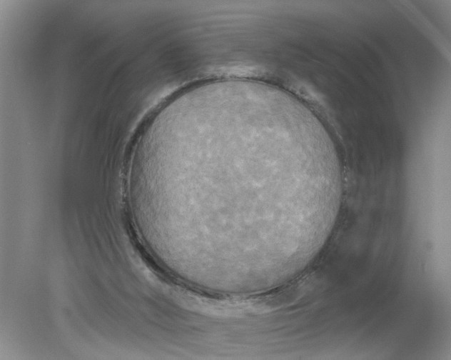 X0000078290012200611172134