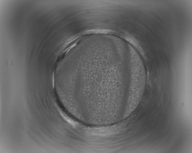 X0000078290013200611172134