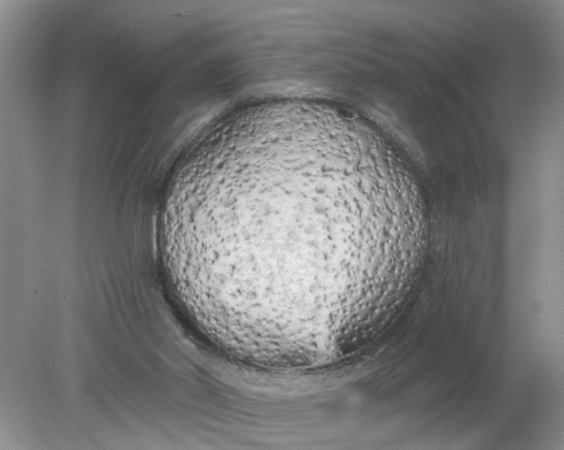 X0000078290014200611172134