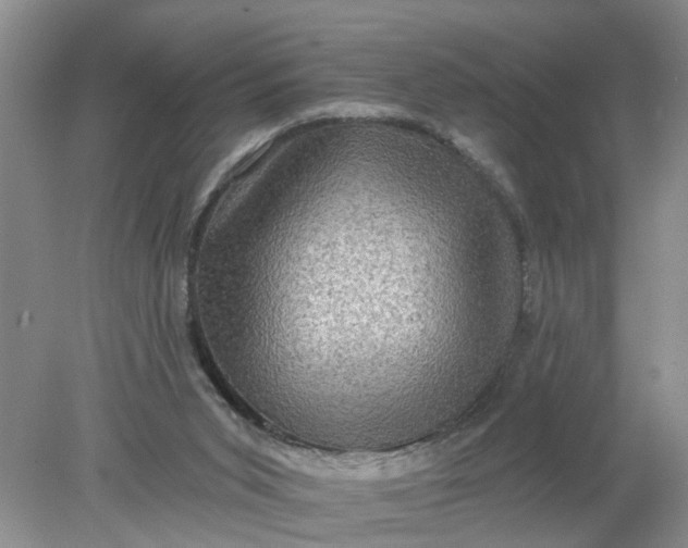 X0000078290015200611172134