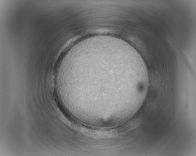 X0000078290016200611172134